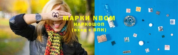 амф Осинники
