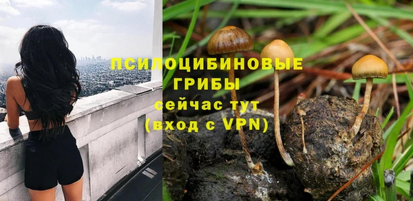 мяу мяу мука Нягань