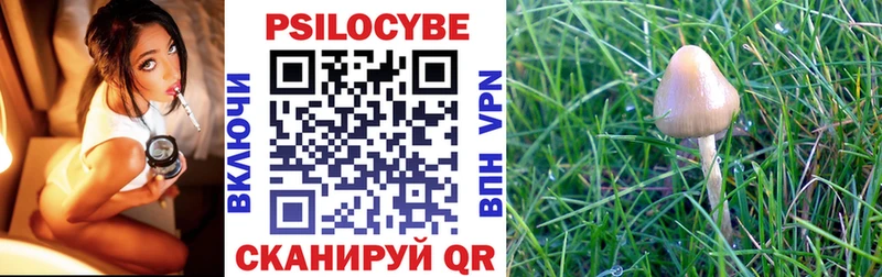 Псилоцибиновые грибы ЛСД  Боготол 